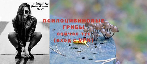 прущие грибы Алзамай