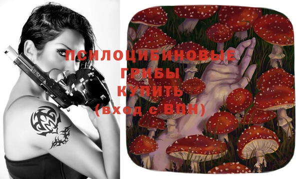прущие грибы Алзамай