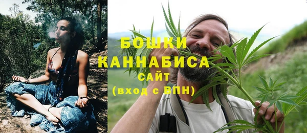 прущие грибы Алзамай